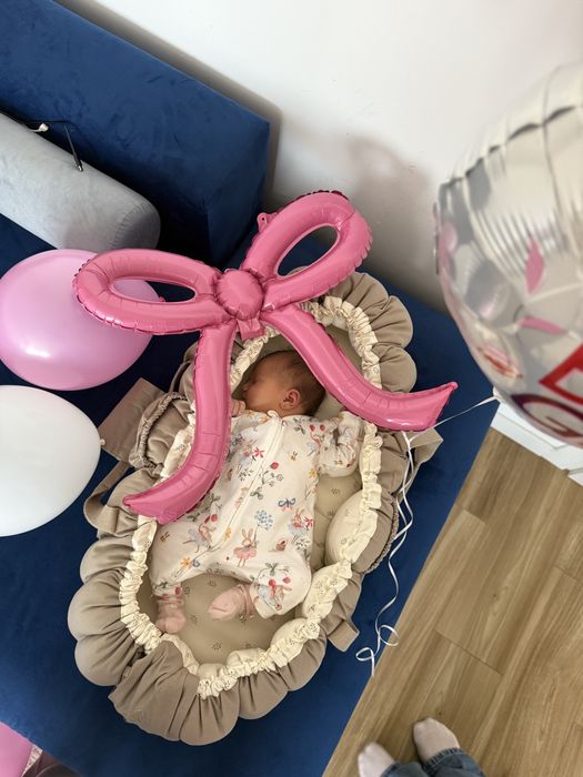 Babynest 3 in 1 Sebra Adinish