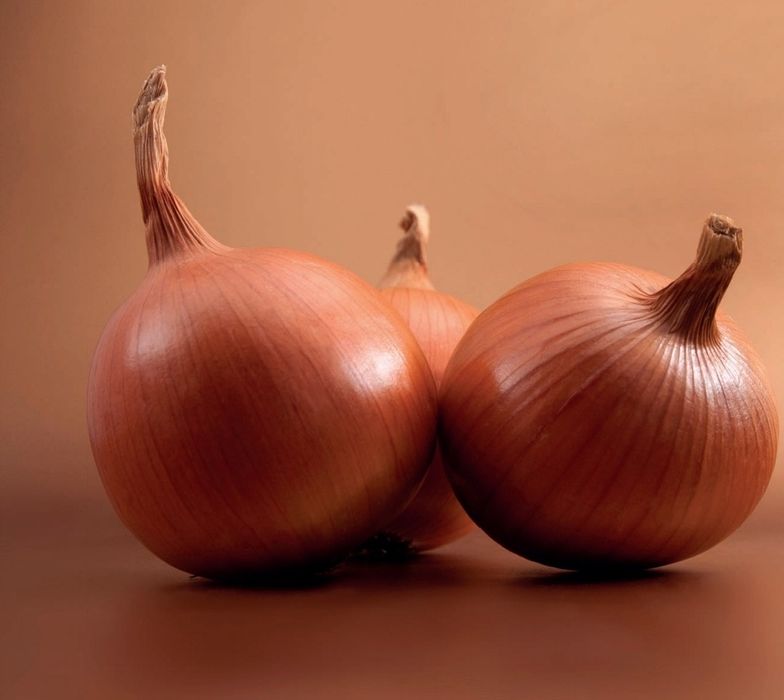 Семена лука Банко от Syngenta  1 кг