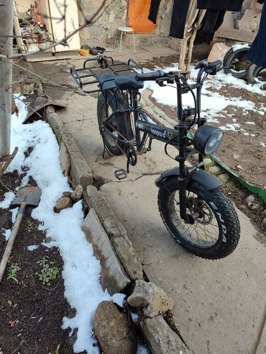 Леопард электровелик