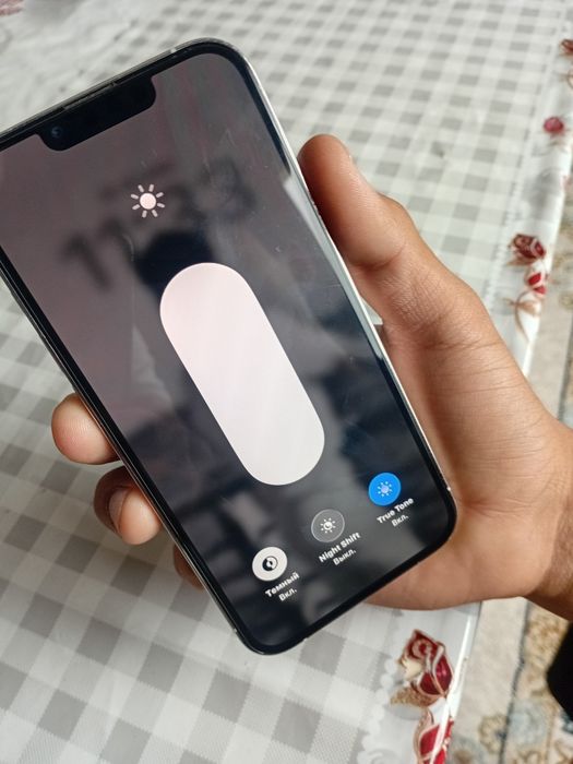 Iphone 13 pro silver