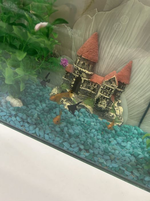 Продам аквариум новый