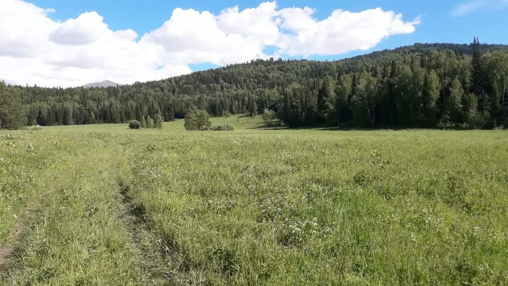 Земельный участок