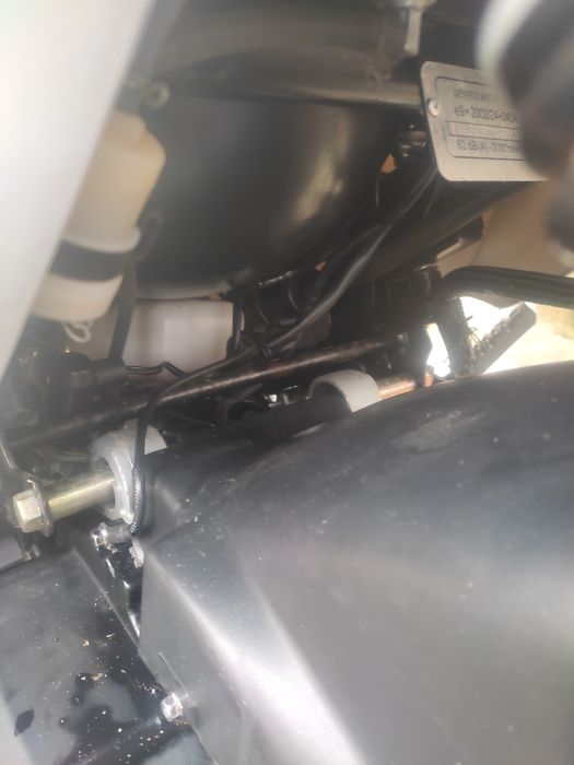 Generic Paradis de 49cm