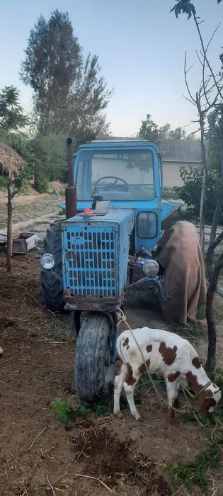 MTZ.  80 traktor