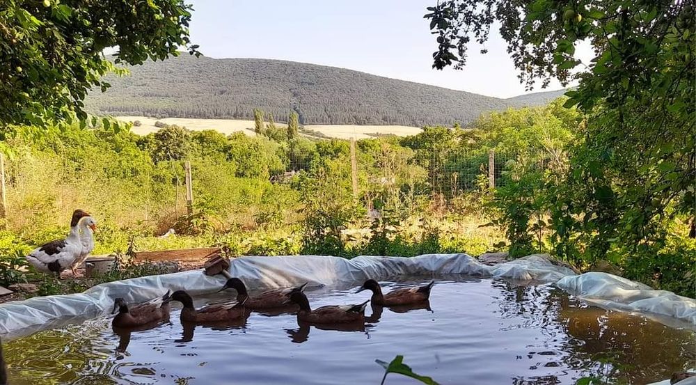 Продава се Къща в Карнобат - 100 кв.м за 700 €/кв.м - Снимка #21