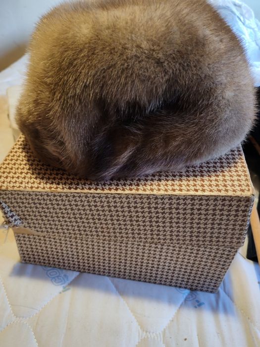 Haina de  blana naturala de nutrie + căciulă nutrie