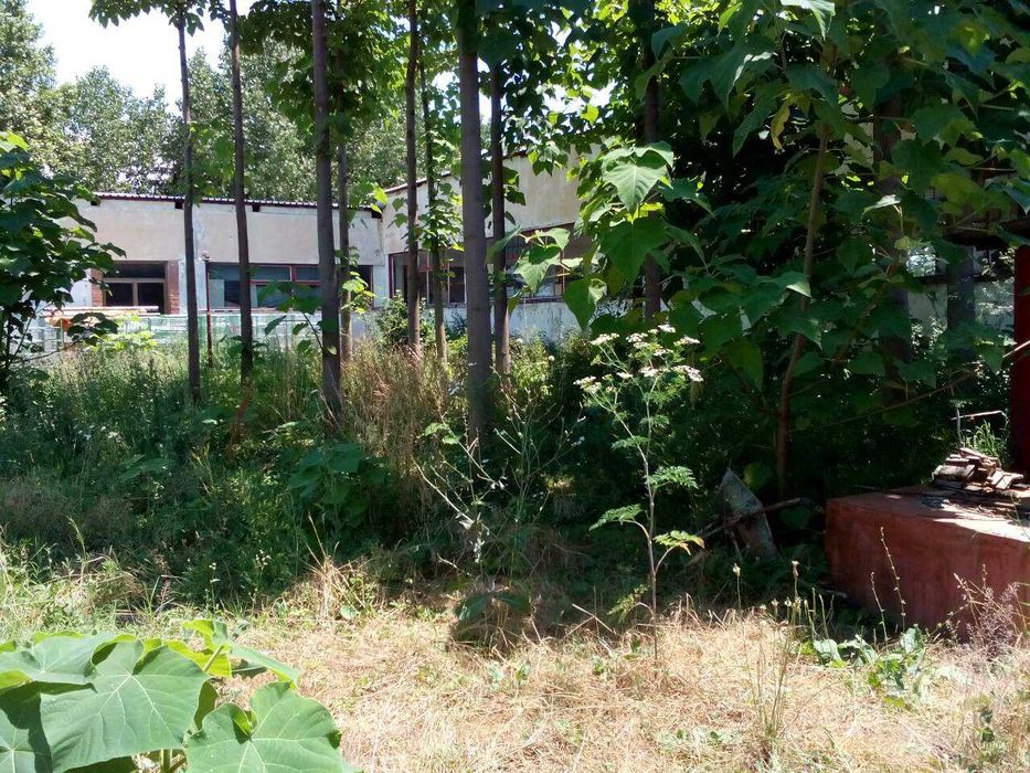 Производствена сграда, с.Лиляк