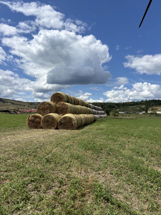 Baloți lucernă coasa I și II – 120×160 cm – Dej