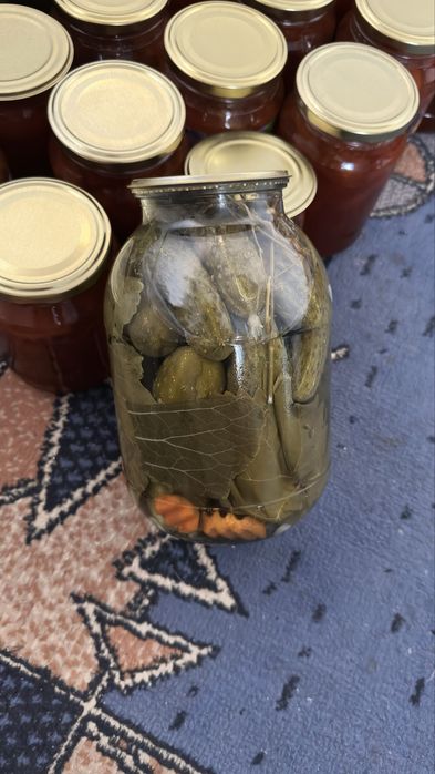 Смородина дачная