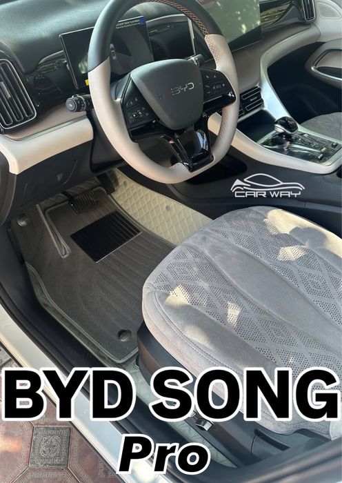 9D polik/ коврики для BYD Song Pro