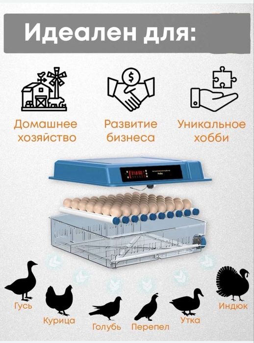 Автомат инкубатор для яиц на 9/12/24/36/64/100/128/200