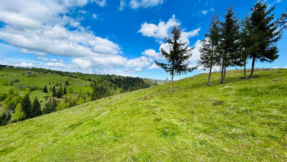 Teren pentru cabana intravilan 1000 mp, Maguri Racatau, panorama minunata