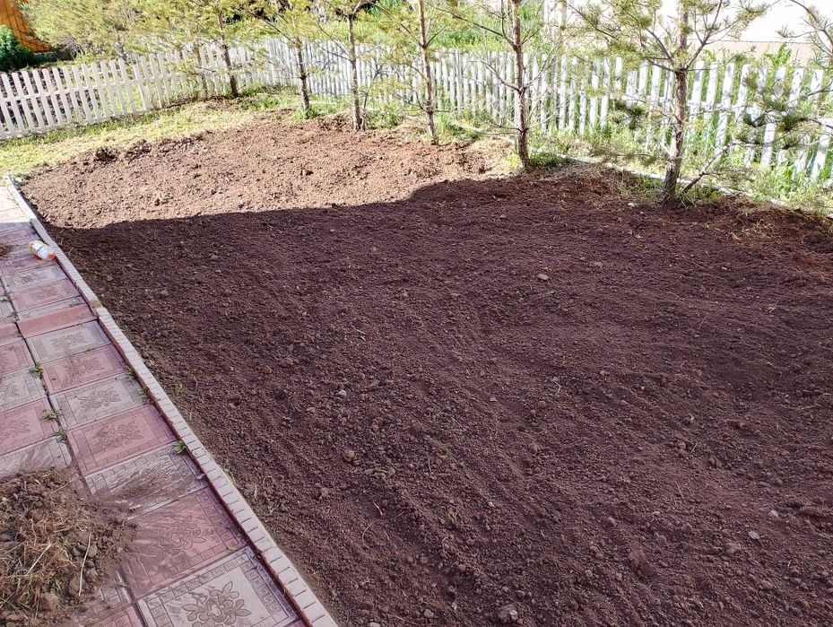 Спил деревьев обслужование территории.