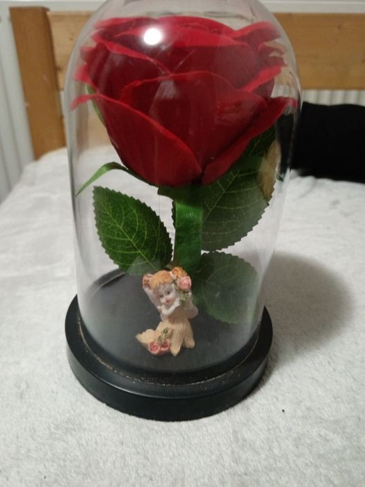 Trandafir în cupola