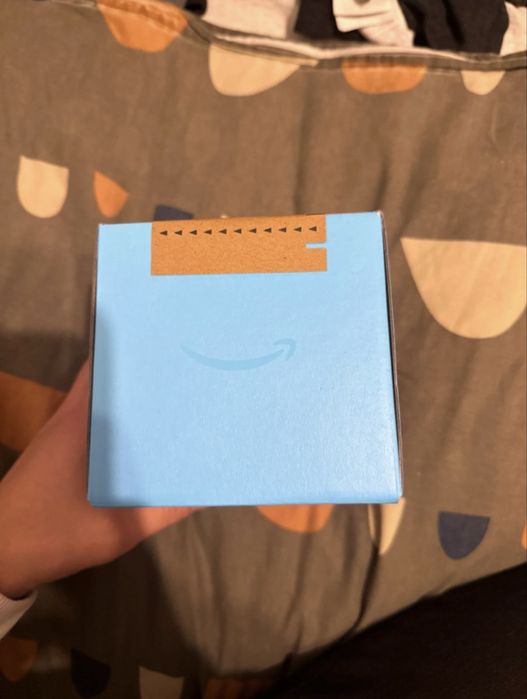Amazon echo dot max