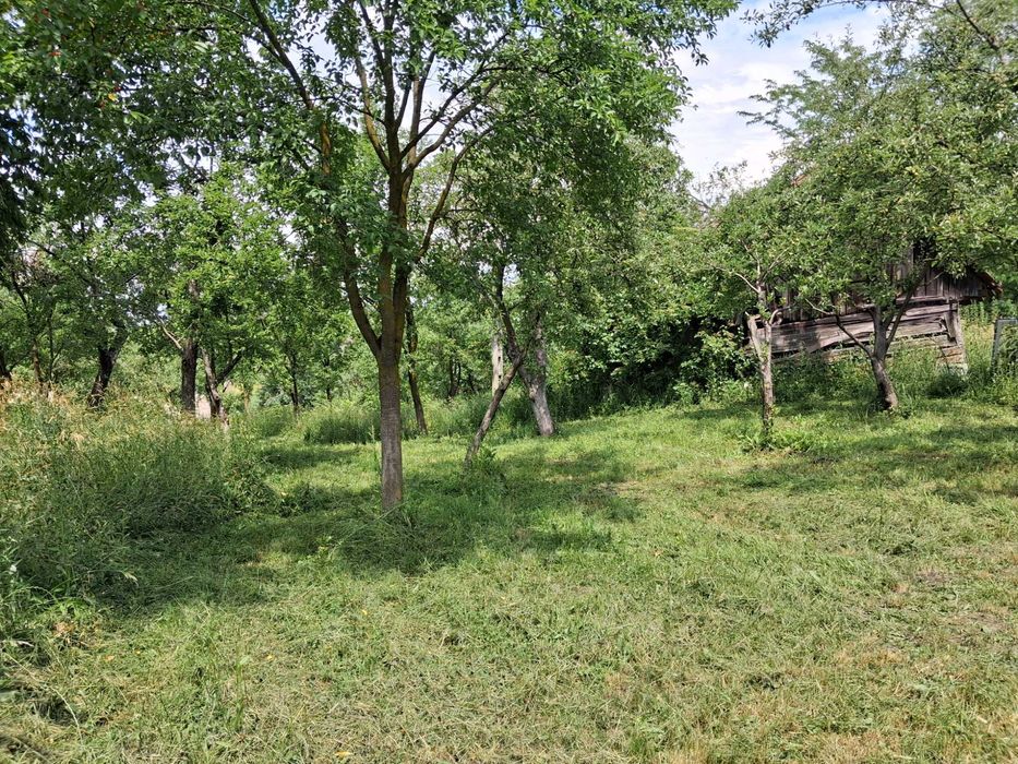 Casă la țară , curte/grădină 3450 m2