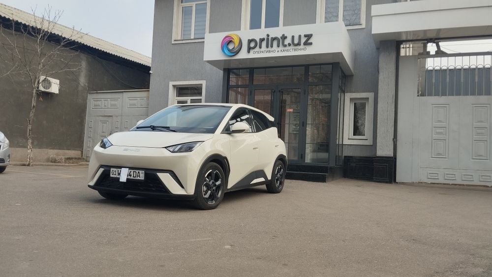 BYD SEAGULL sotiladi