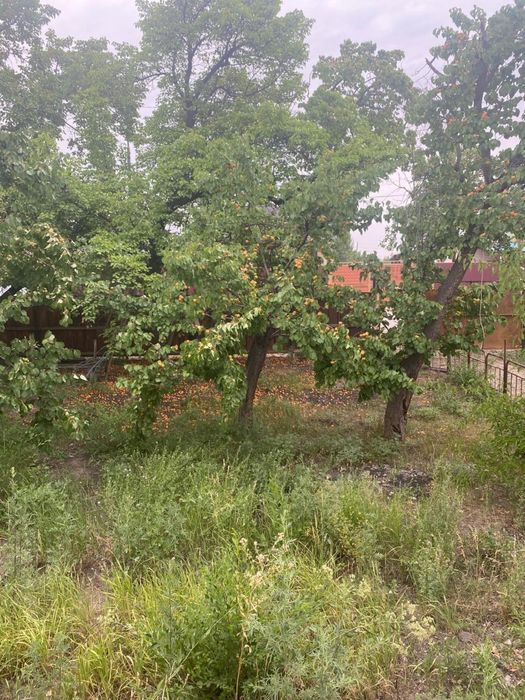 Продам дом в Бахаре