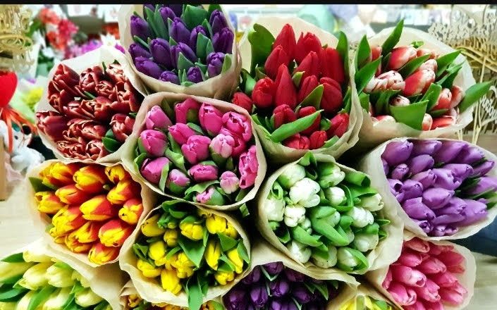 Тюльпаны оптом.в городе есть склад мин от 300шт