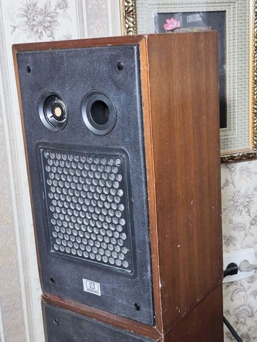 Колонки 10АС-9 (аналог S30)