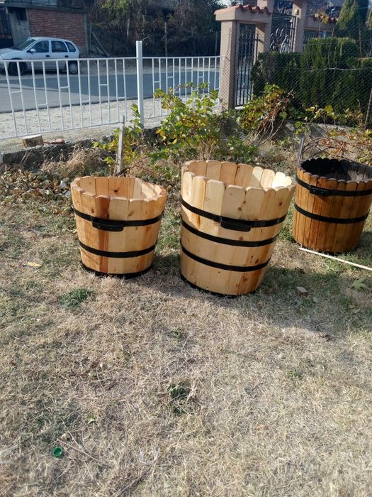 Саксии за лимони и палми