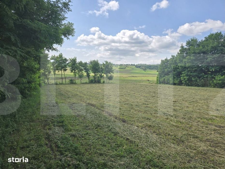 Teren intravilan 4.725 mp, Roma, Botosani