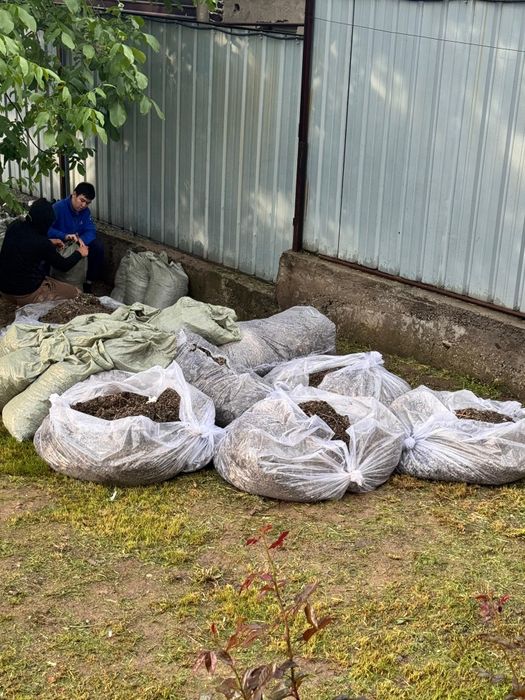 Вывоз мусора, доставка по городу Алматы