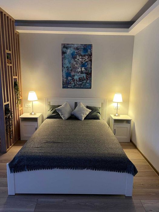 Proprietar, Studio Piata Muncii - Calea Calarasi X Decebal, renovat