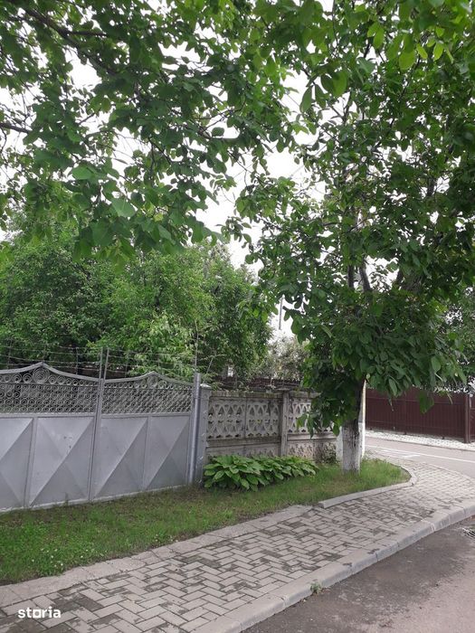 Vând grădină în Târgu Frumos