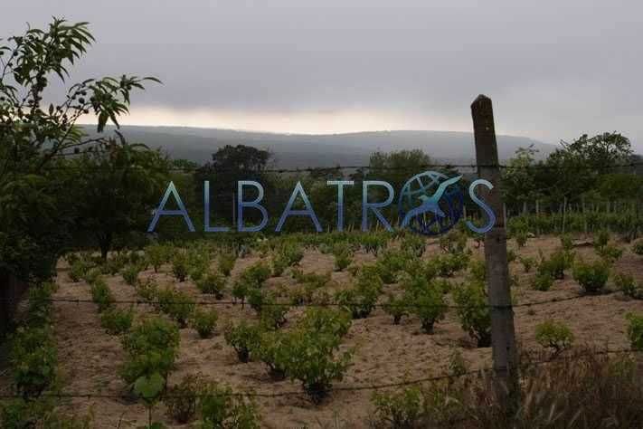 Продава се Парцел в Варна, м-т Боровец - север - 1050 кв.м за 30 €/кв.м - Снимка #1