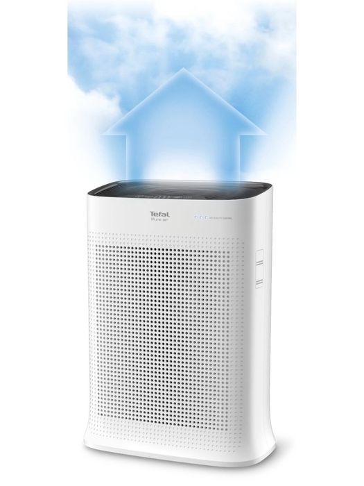 TEFAL фильтра для фывоздухоочистителей...