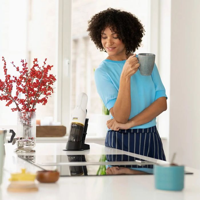 Ручной пылесос Karcher CVH 3