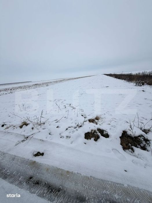 Teren de vanzare, 9000 mp, cartier Izvor - Tarlungeni - 105.000 euro