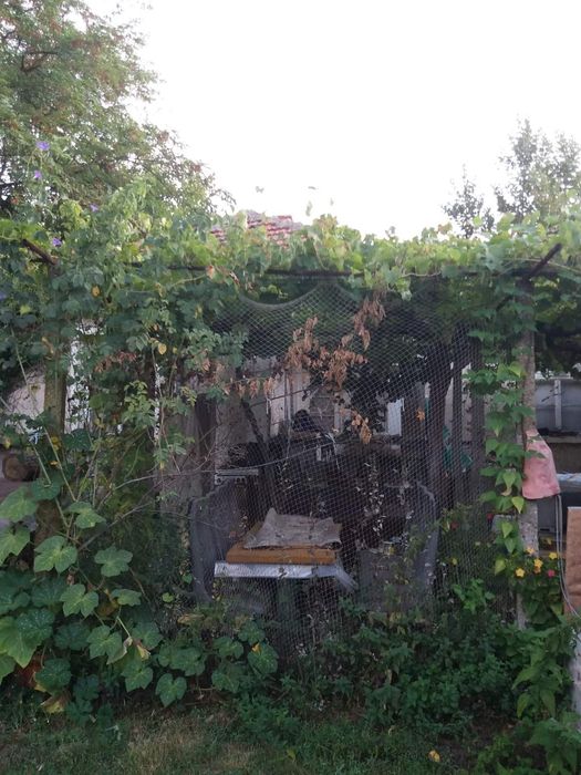 Продава се Къща в с. Горово, Област Бургас - 48 кв.м за 303 €/кв.м - Снимка #2