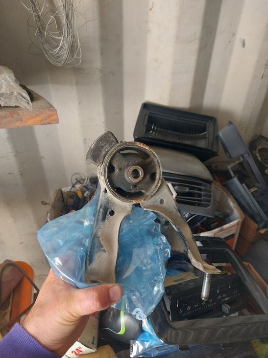 Ипсум ипсун ipsum picnic пикник