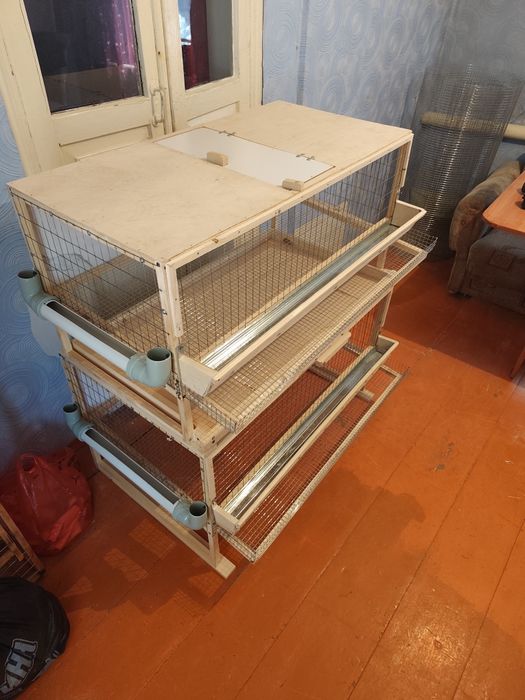 Клетки для перепелов несушек