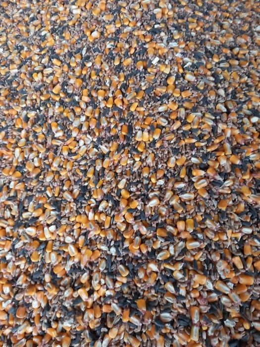 Vand amestec cereale, porumb ,grau,floare
