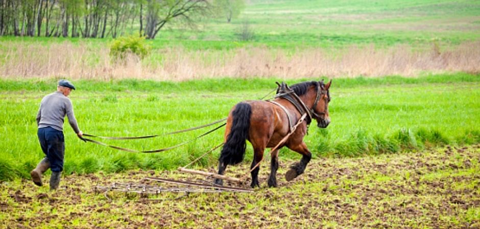 Услуги культиватора