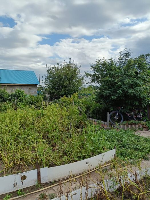 Продаю дача(сад) в городе