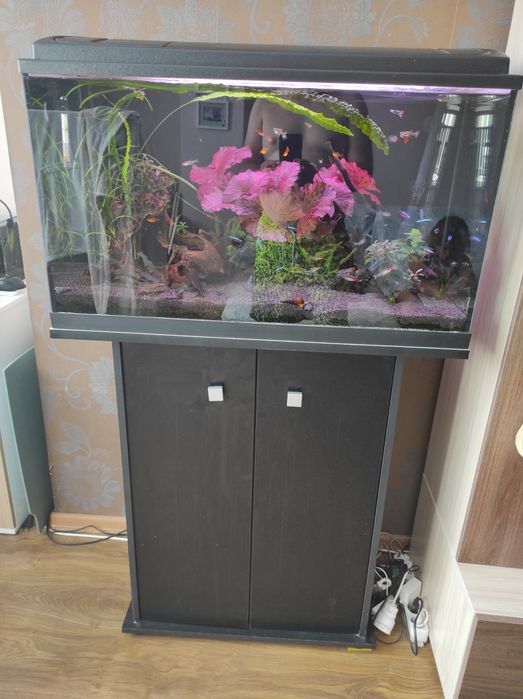 Аквариум EHEIM 126 с шкаф EHEIM