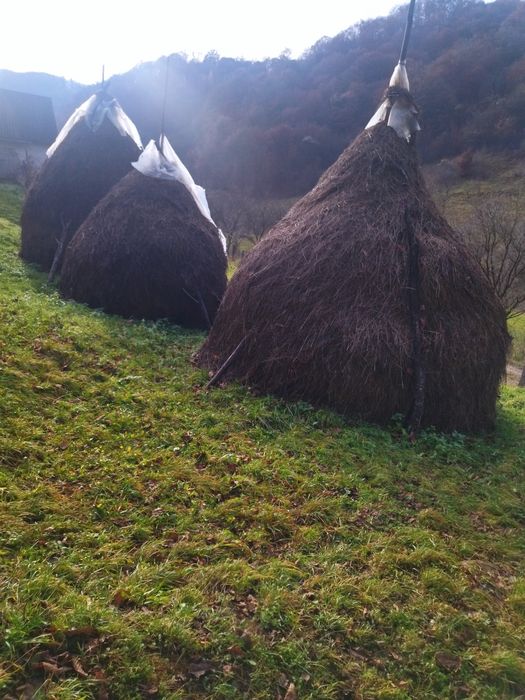 Vând 3 clăi de fân.