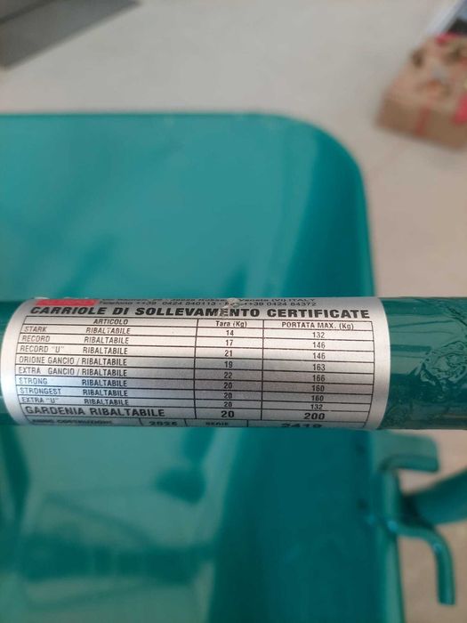 Roaba Orione profesionala cu carlig fabricata Italia, Elevator ETR200
