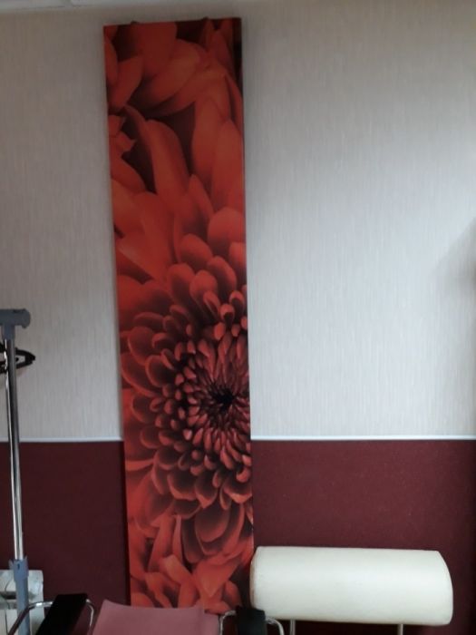 Продам картины 2шт.новые.