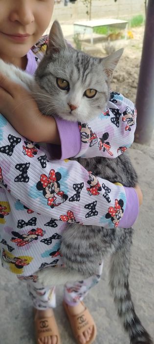 Adolf Laqabli \Lalafo Mushugi