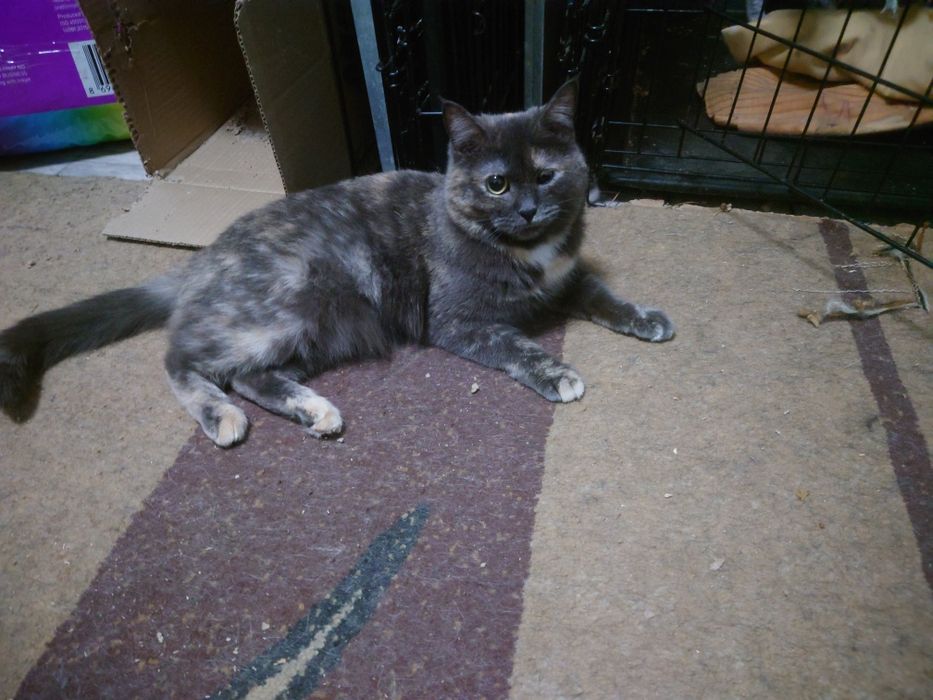 Кассандра готова ехать домой