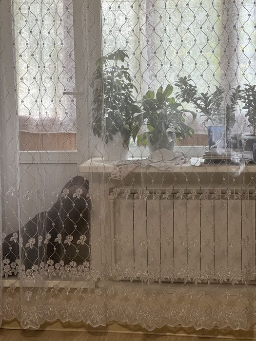 Продам тюль гостиный.