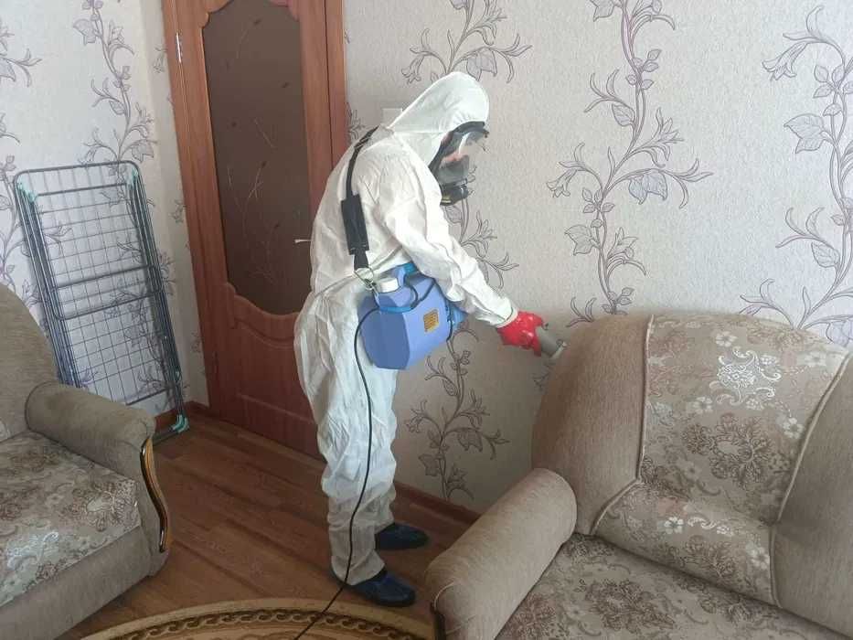 Dezinfeksiya Дезинфекция Уничтожение клопов, тараканов, блох 24 часа