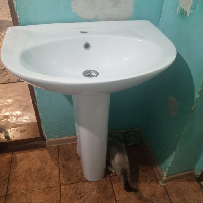 Отдается даром раковина