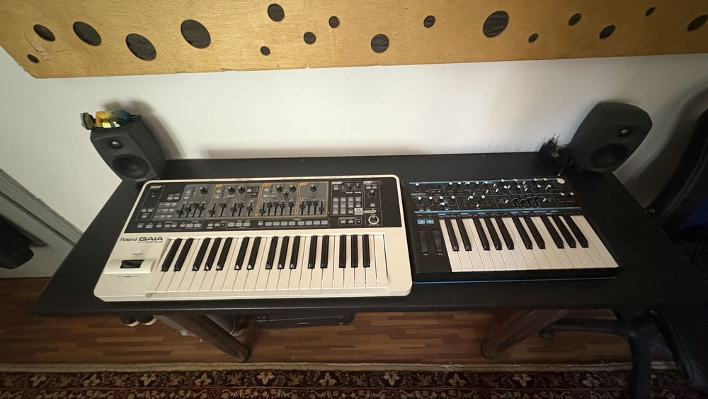 Roland Gaia 1 si  Novation Bass Station 2  Synth / Sintetizator analog