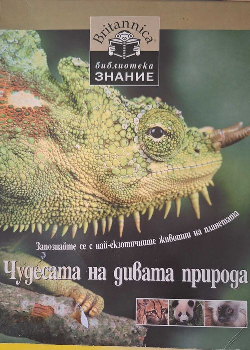 Детски книжки  за 6г- 7г